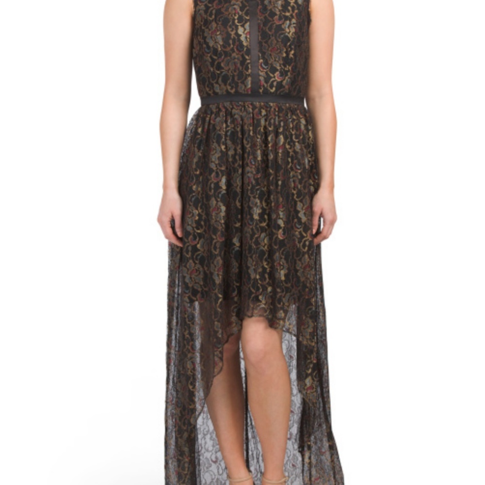 Metallic Lace Long Dress